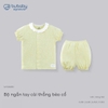V40|Vàng 06