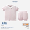 T96|Hồng 060