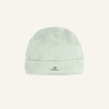 Mint 8442