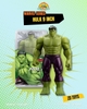 ĐỒ CHƠI MÔ HÌNH ZD TOYS MARVEL - HULK 9 INCH