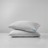 Bộ Ga Gối Chun Xám Man Mác Chagota Bedding Mềm Mịn, Mát Lạnh Cao Cấp Thoáng Mát Cho Gia Đình Bạn 1m6