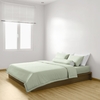 Bộ Chăn Ga Gối Xanh Thì Thầm Chagota Bedding Mềm Mịn, Mát Lạnh Cao Cấp Thoáng Mát Cho Gia Đình Bạn 1m6