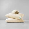 Bộ Ga Gối Chun Vàng Ấm Áp Chagota Bedding Mềm Mịn, Mát Lạnh Cao Cấp Thoáng Mát Cho Gia Đình Bạn 1m8