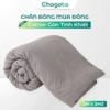 Chăn Bông Mùa Đông Chagota Cotton Cao Cấp, Mềm Mại An Toàn Cho Da 2mx2m5
