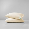 Bộ Ga Gối Chun Vàng Ấm Áp Chagota Bedding Mềm Mịn, Mát Lạnh Cao Cấp Thoáng Mát Cho Gia Đình Bạn 2m2