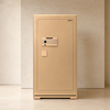 Két sắt đồng hồ thông minh AIPU ZR-100VI-G-W vân tay nhập khẩu màu gold cao 1m