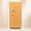 Két sắt thông minh AIPU ZR-150VI-G-W bản đồng hồ nhập khẩu báo động điện thoại màu gold