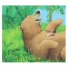 Cùng Gấu Khám Phá - The Bear Books: Gấu To, Chuột Nhỏ - Big Bear, Small Mouse (Song Ngữ)