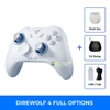 Flydigi Direwolf 4