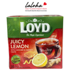TÚI LỌC TRÀ TRÁI CÂY | LOYD - BA LAN | CHANH | 40G