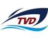 Tân Viễn Đông Shipyard