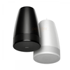 Loa treo trần Bose DesignMax Luna DML88P