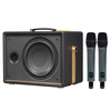 Loa Acnos D'Auris 200, Bass 25cm, Công suất 150W, Bluetooth 5.0, OTG (USB-C)