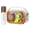 Loa Bluetooth Karaoke Mini WEKOME WD-03 (kèm mic)