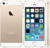 iPhone 5s 64Gb Cũ