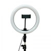 Đèn Led Ring Livestream 26cm (không chân)