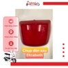 Chụp đèn sau/ Chụp đèn sau/ Đèn lái xe Elizabeth mã VT5 [Chính hãng SYM]