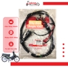 Dây điện Angel 100cc mã VA2 [Chính hãng SYM]