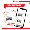 Kiếng hậu xe Shark 125cc/170cc mã VT3 [Chính hãng SYM]