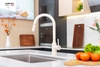 Vòi rửa bát dây rút Nobinox Aqua NX661B