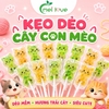 nhiều màu