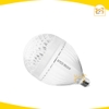 Bóng đèn led trong suốt 30W, 40W Akko Star - Hàng chính hãng.
