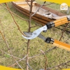 Kéo cắt hàng rào tăng đưa lưỡi ngắn Tolsen 31025, kích thước 24″ – 36″ (610mm – 914mm) - Hàng chính hãng.