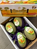 Dưa Đài Hami Melon