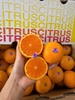 Quýt Citrus da mỏng size 56