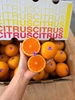 Quýt Citrus da mỏng size 56