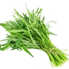 Rau muống