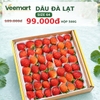 Dâu tây Đà Lạt size 64 hộp 500g