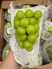 Nho mẫu đơn Hàn Quốc hộp 450g