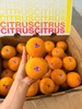 Quýt Citrus da mỏng size 56