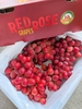 Nho kẹo vải