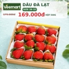 Dâu tây Đà Lạt size 28–32 hộp 500g
