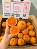 Quýt Citrus da mỏng size 56