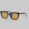 901/73 BLACK OCHRE