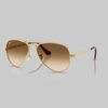 001/51 ARISTA GOLD CLEAR GRADIENT BROWN