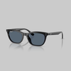 901/2V BLACK BLUE POLARIZED