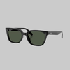 901/9A BLACK POLARIZED DARK GREEN