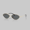 921381 PALE GOLD DARK BROWN POLARIZED