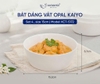 Set 4 bát dáng vát Opal Kaiyo