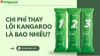 Chi Phí Thay Lõi Máy Lọc Nước Kangaroo Một Năm Bao Nhiêu? Cách Tính