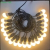 Dây led quả nhót 10m 20 bóng QN02 trang trí quán cà phê, quán trà chanh và nhà hàng