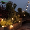 Dây led quả nhót 10m 20 bóng QN02 trang trí quán cà phê, quán trà chanh và nhà hàng