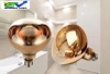 Bóng Đèn Sưởi BDS01 275W