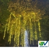 Combo led trang trí quấn cây ngoài trời f5 LF5 chống nước