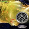 Đèn led âm nước trang trí DANG-01 9w-36w
