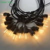 Đèn led trang trí 10m 20 bóng Edison LEDT03 Màu Vàng Ấm